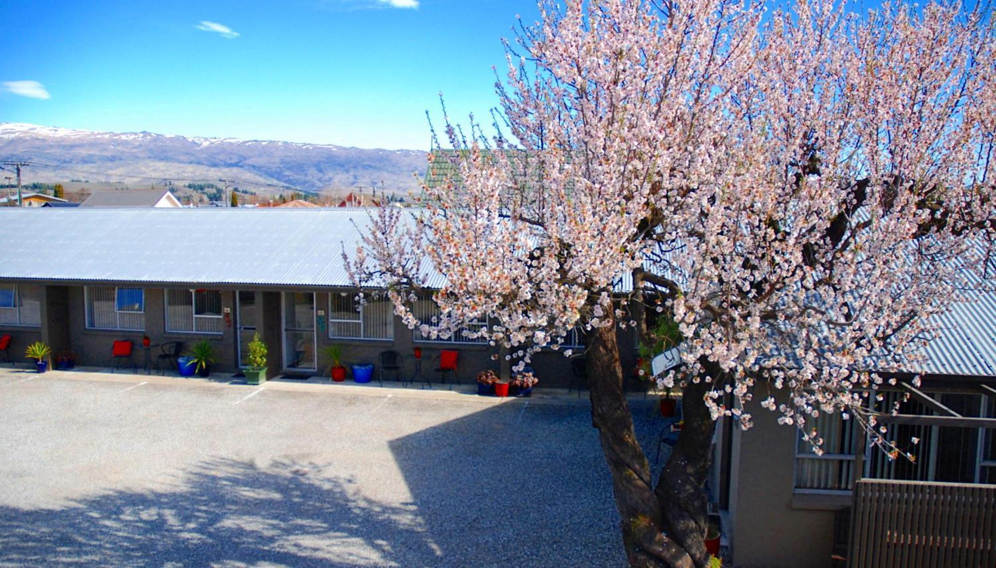 Almond Court Motel 알렉산드라 객실 사진